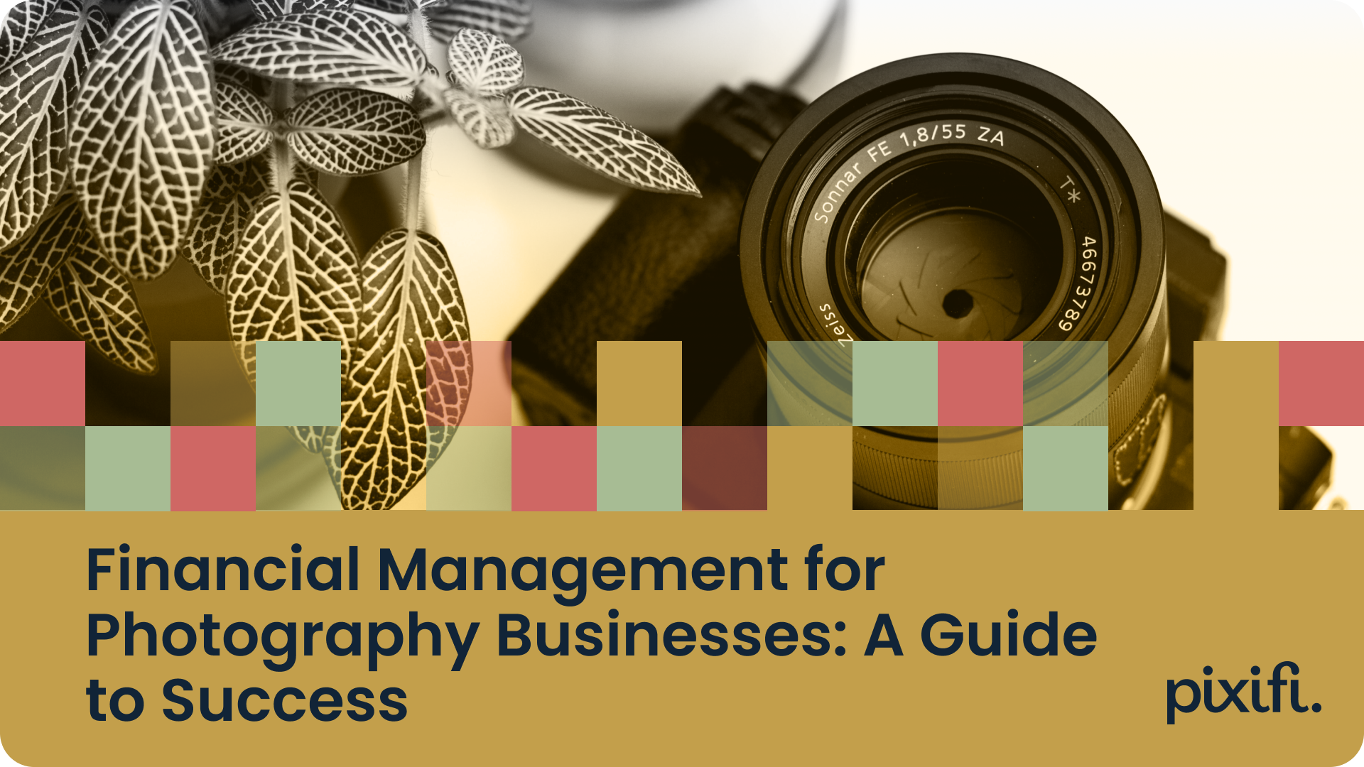 Financial Management for Photography Businesses: A Guide to Success