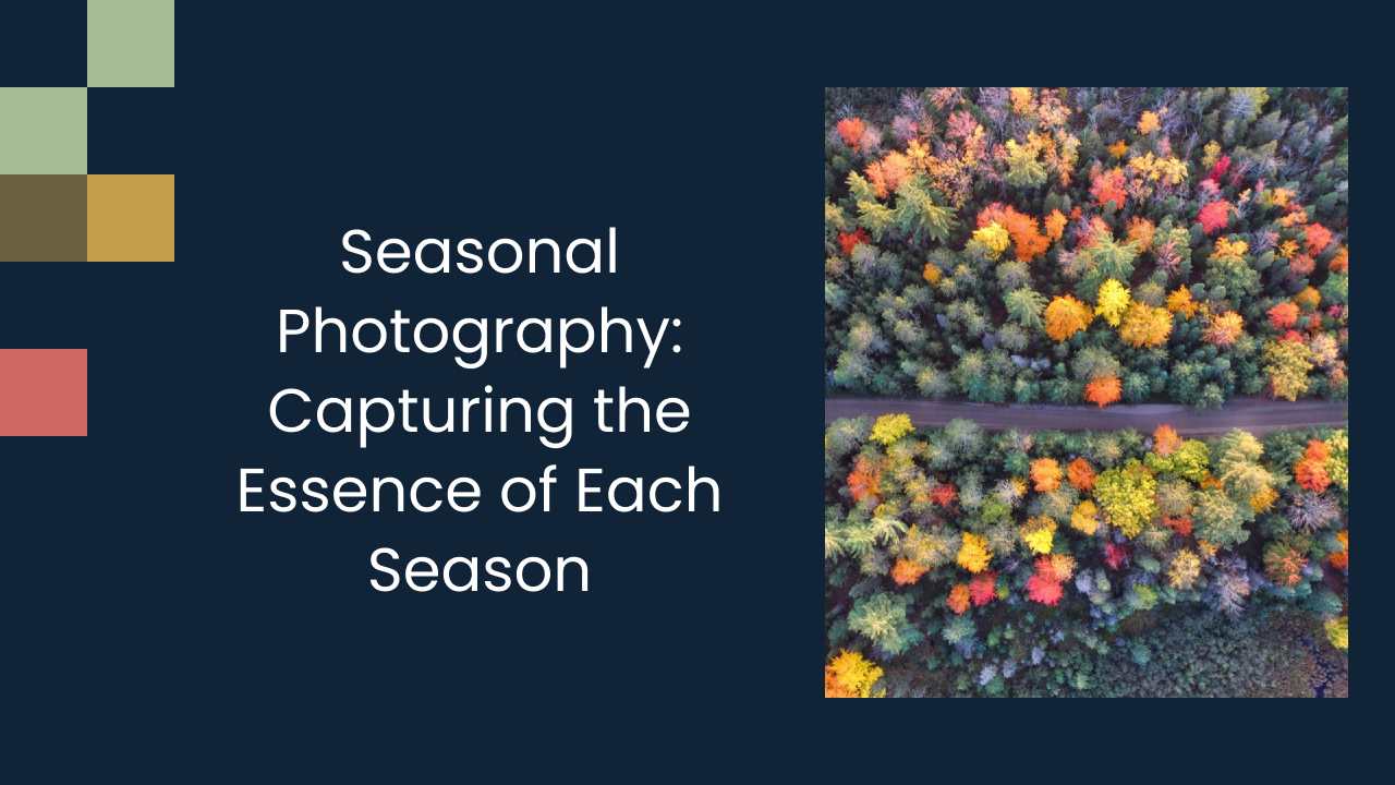 Seasonal Photography: Capturing the Essence of Each Season